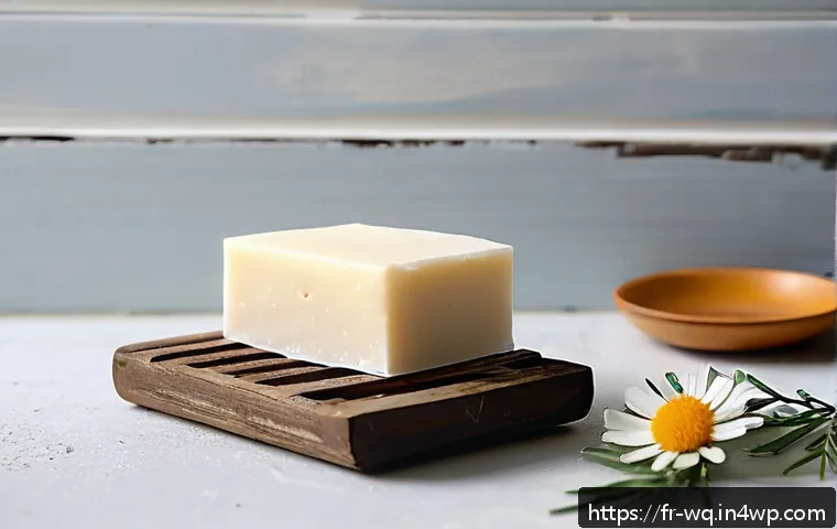 Les 7 produits zéro déchet incontournables pour une routine beauté éco-responsable en 2024 3 제로웨이스트 화장품의 인기 제품 리뷰 관련 이미지 1